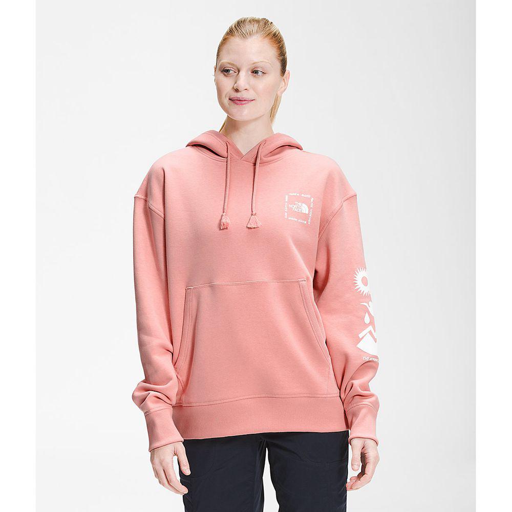 The North Face Himalayan Bottle Source Pullover Γυναικεια Φούτερ Hoodie - Ροζ (UZID61052)